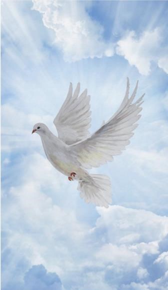 Obituary of Ana Carolina Pinolay