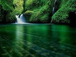 Obituary of Donald Evans McGunagle