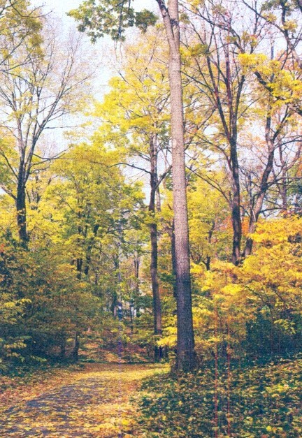 Avis de décès de Lawrence Hopkins "Hop" Boyd Sr.