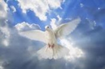 Obituary of Michael J. Sankovich