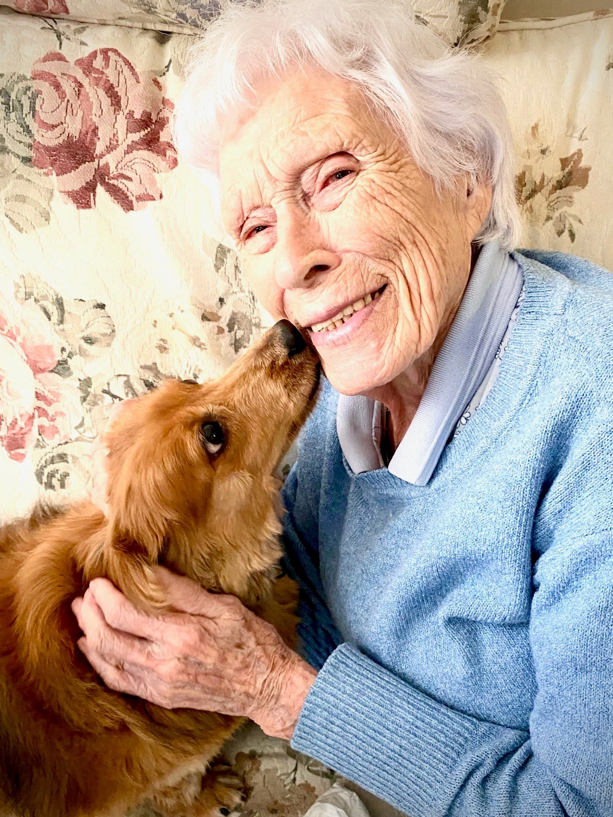 Obituary of Joanne Frances Potter