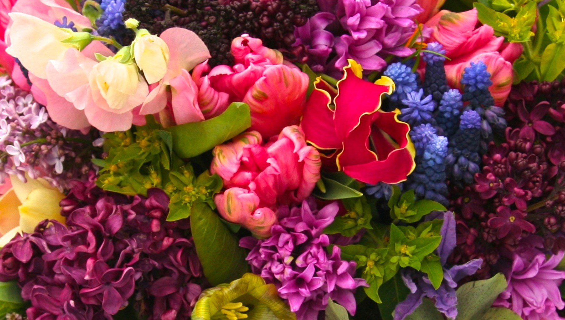 Obituary of Kathleen Mary Lomax