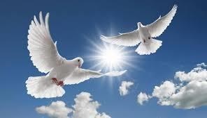 Obituary of Carlos L Bonilla
