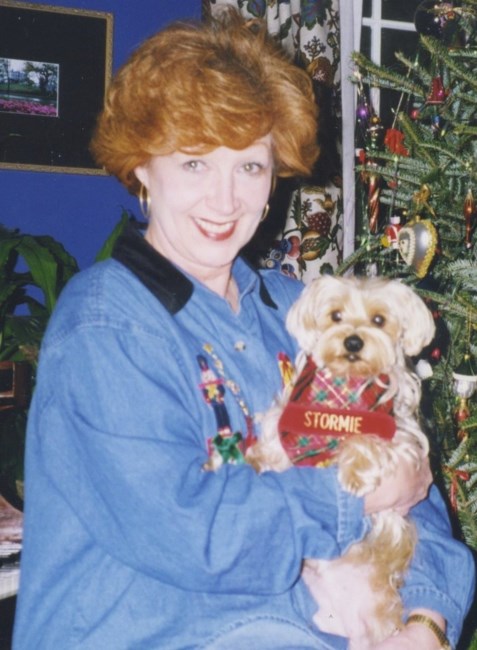 Obituary of Stephanie Sue Livingston