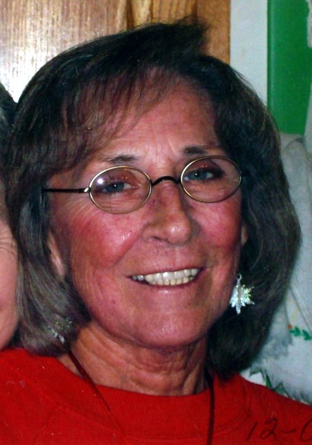 Obituary of Mrs. Ann Lee Nichols Cook