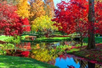 Obituary of Elise Marie Scharg