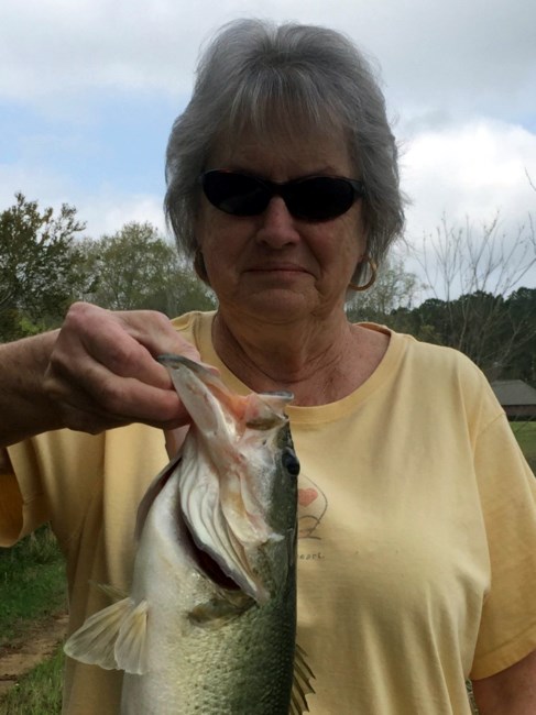 Obituary of Lynda James Sexton