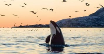 Obituary of Michael David McDonald