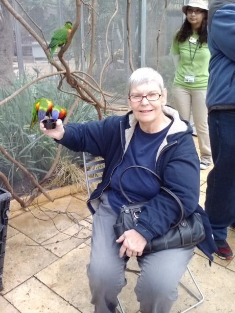 Obituary of Lovina B Bourgerie