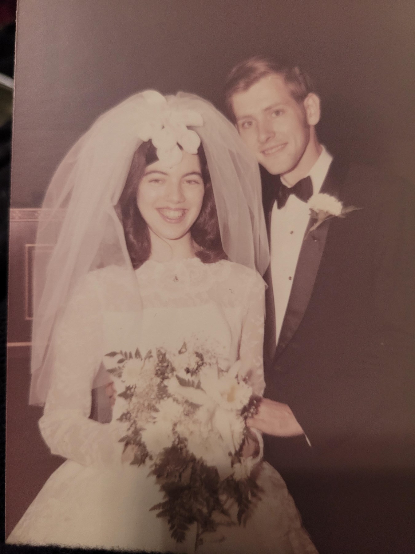 Obituary of Judy Ann Hollish