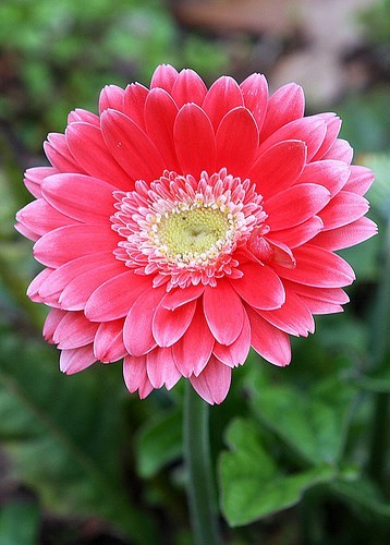 Obituary of Barbara J. McComb