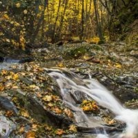 Obituary of Ronald Gard Carlin