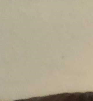 Ronald Raymond Rasch Obituary - Stuart, FL