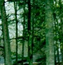 Larry Riddle Arizona Larry Junior Riddle Obituary - Charlotte, NC