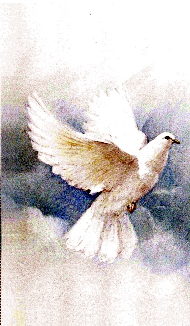 Obituary of Velma Bonnie Ross