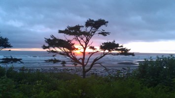 Obituary of Victoria Pawlowski