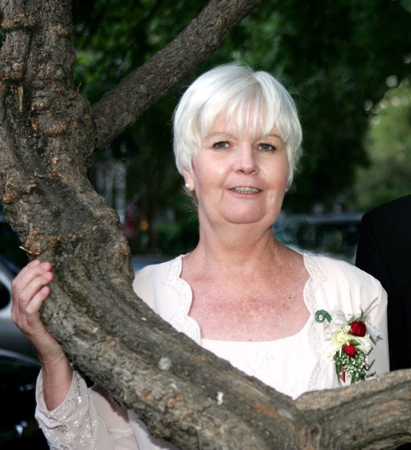 Obituary of Sandra Ann Dileo