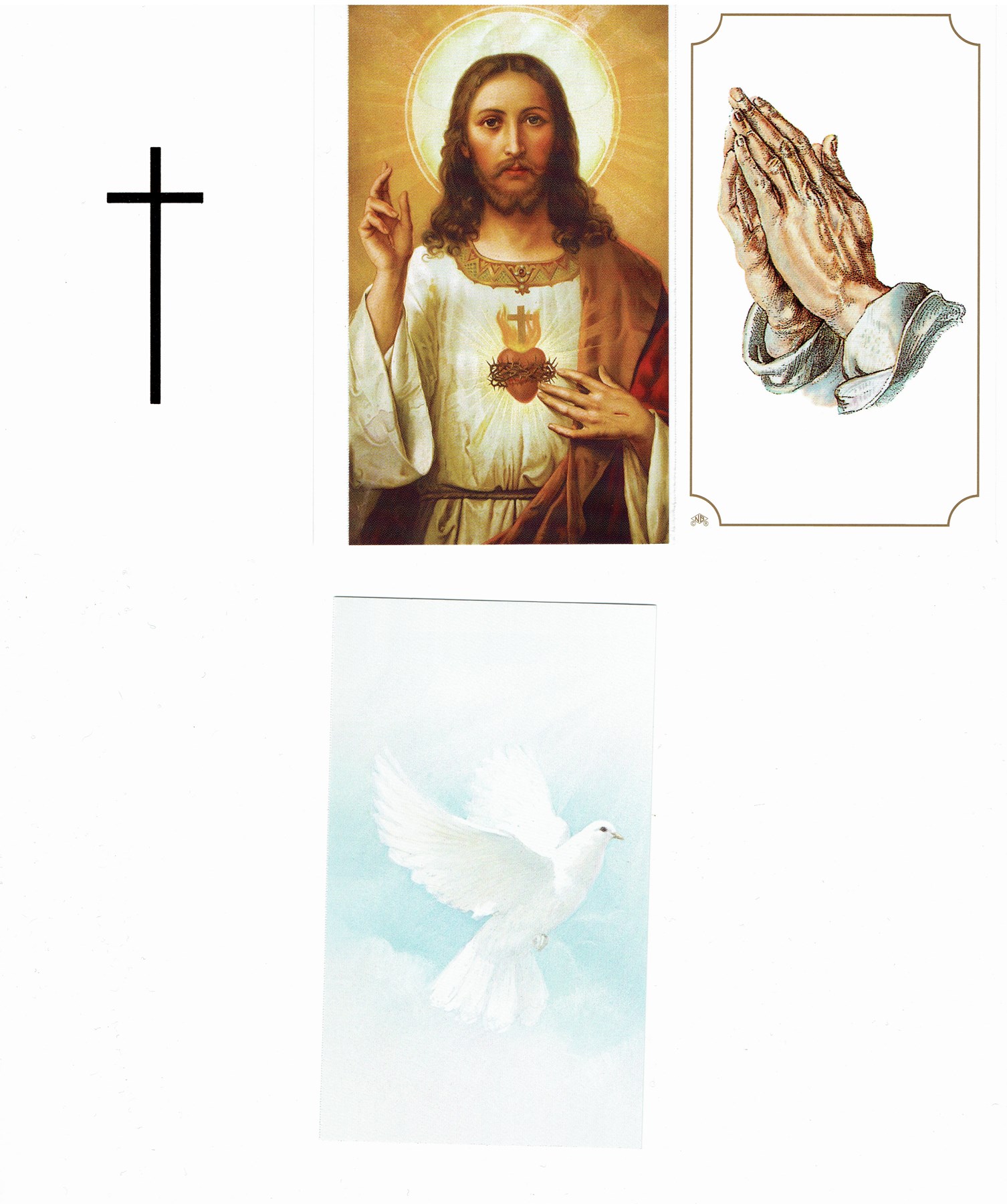 Obituary of Antonia Kral