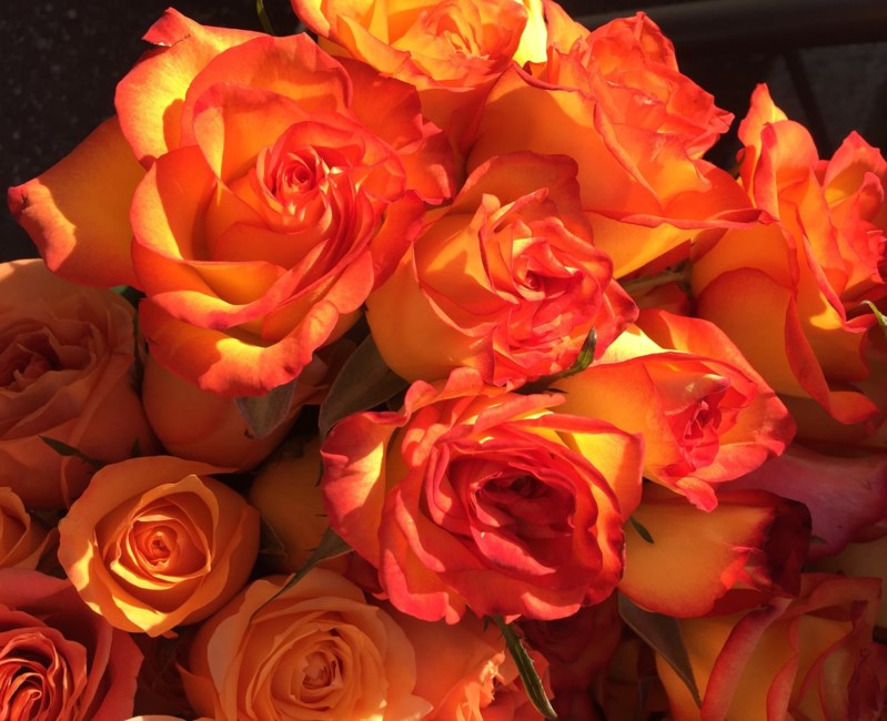 Obituary of Betty Mae Carlson