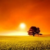 Obituary of Frederick Joseph Irwin