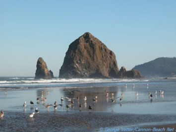 Obituary of Galina Susan Fecher