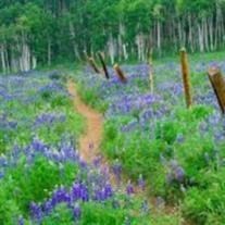 Obituary of Reva Arlene Leonard