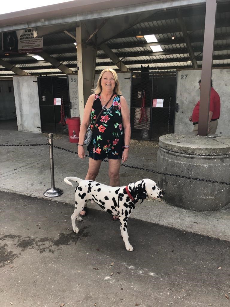 Obituary of Susan Dolores Shiell