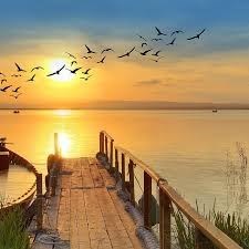 Obituary of Steven Joseph Weingartner