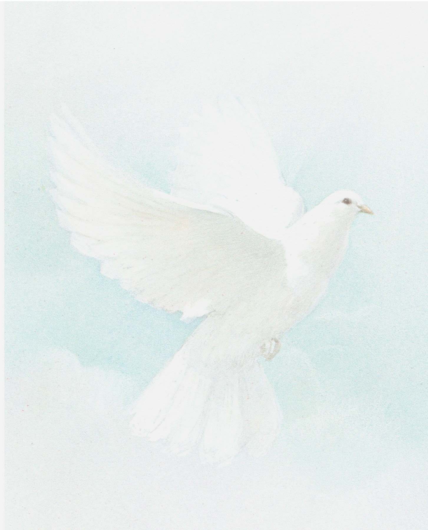 Obituary of Jose D Tejera