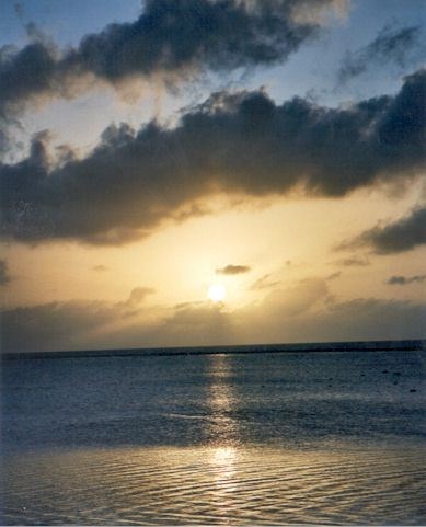 Obituary of Peter Robert Koenig