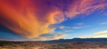 Obituary of Neil Edgar McMillan