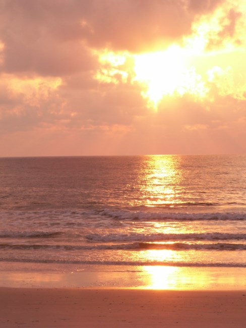 Obituary of Warren C. Teal Sr.