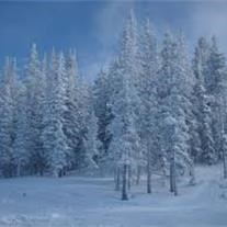 Obituario de Daniel Wesley Thompson