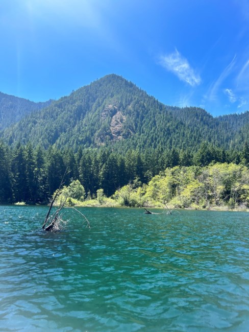 Obituary of Jose Luis Cruz