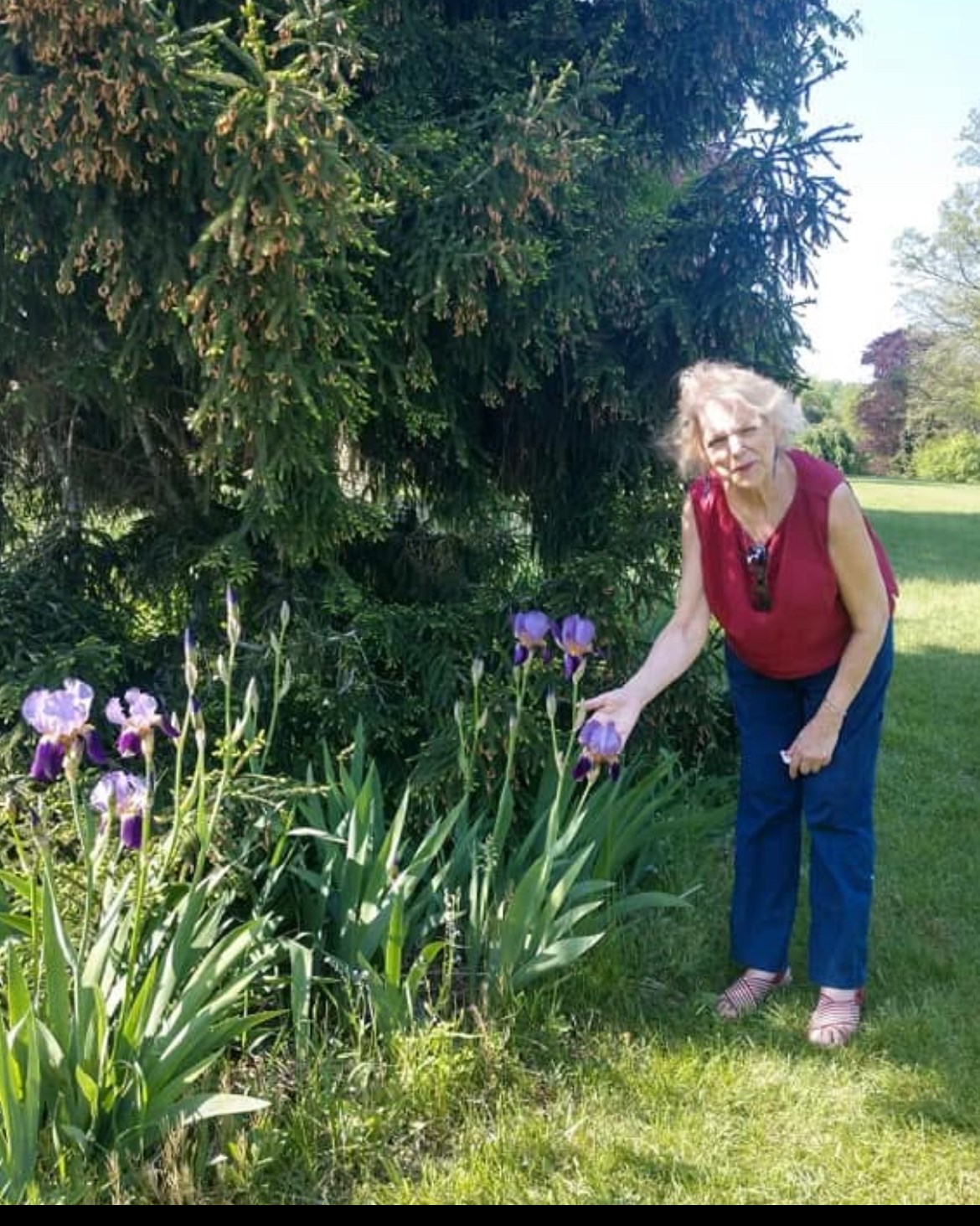 Obituary of Peggy A. Tracy