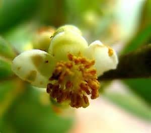 Obituary of John E. Skinner