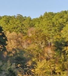 Douglas Roth Obituary - Thornton, CO