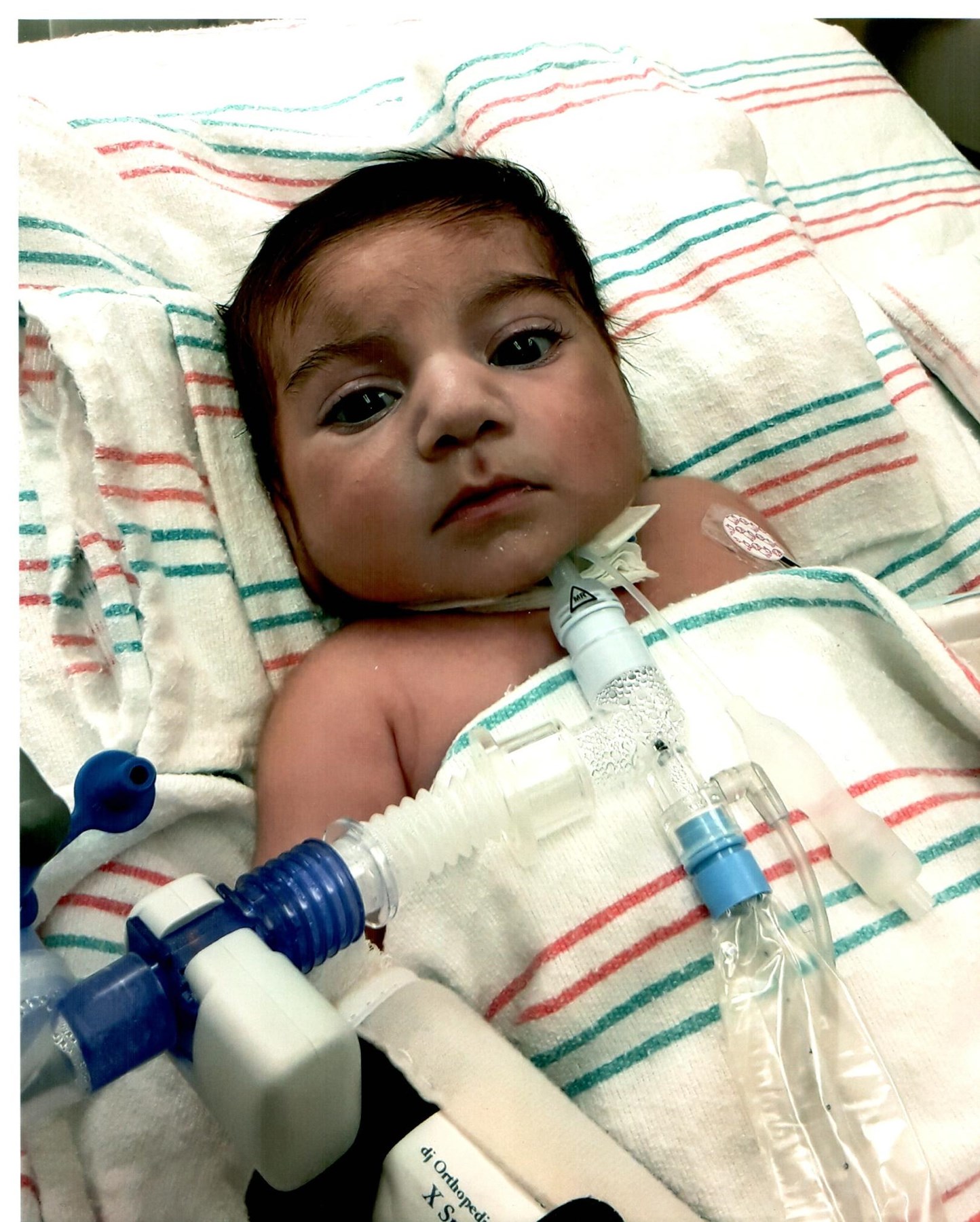 Obituary of Giovanni Rico