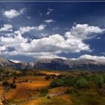 Obituary of Elmer Schneider