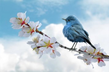 Obituary of Kenneth Allen Sherwood