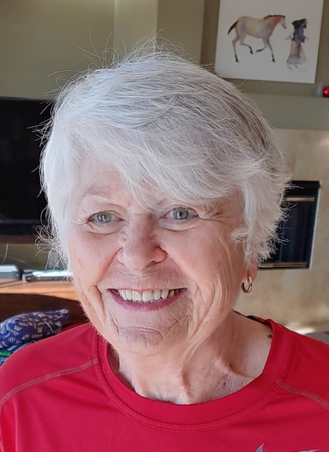 Obituary of Kathleen "Kathy" Montgomery Vander Hoek