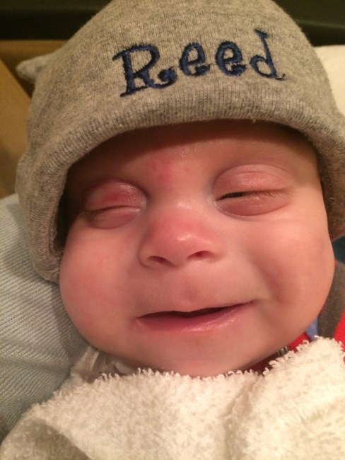 Obituary of Nicholas Reed Sistrunk