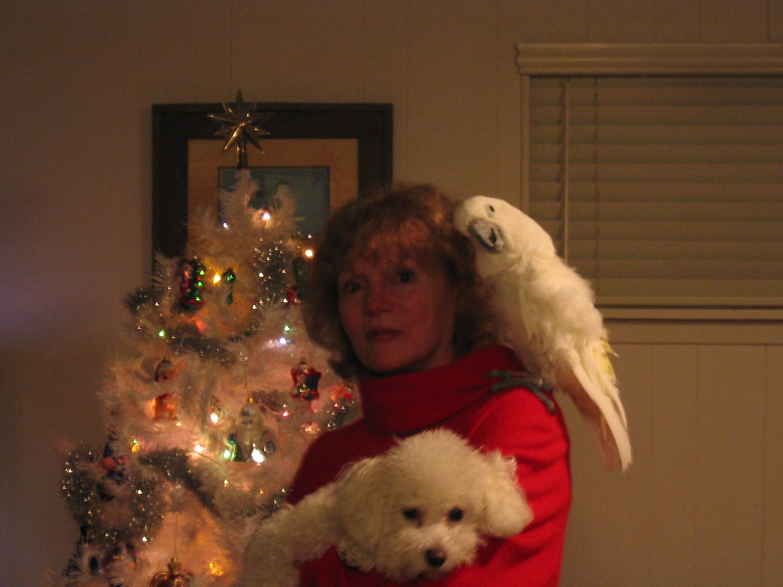 Obituary of Theresa Alice Walker