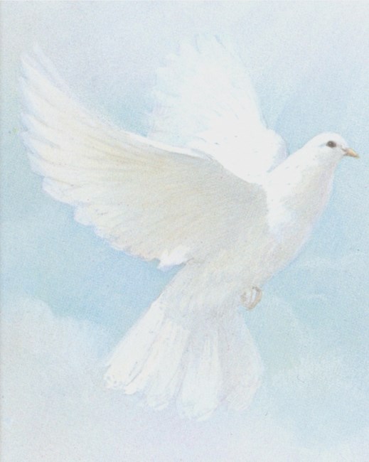 Obituary of Joe Don Belcher