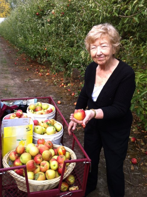 Obituary of June Arlene Peterson-Krause