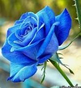 Obituary of Tyson Paul Brown