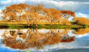 Obituary of Anna Mae Humphrey