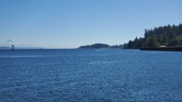 Obituary of Carole Yvonne Lowe