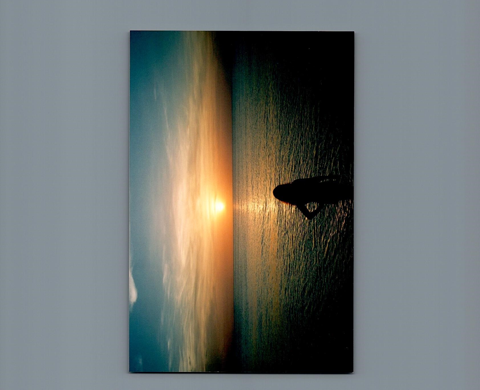 Avis de décès de Cindy Hardin Trupo