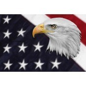 Obituary of Ernest Carrol Hartley